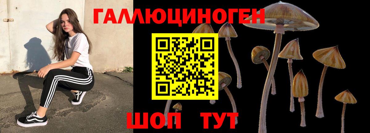 Псилоцибиновые грибы прущие грибы Ейск