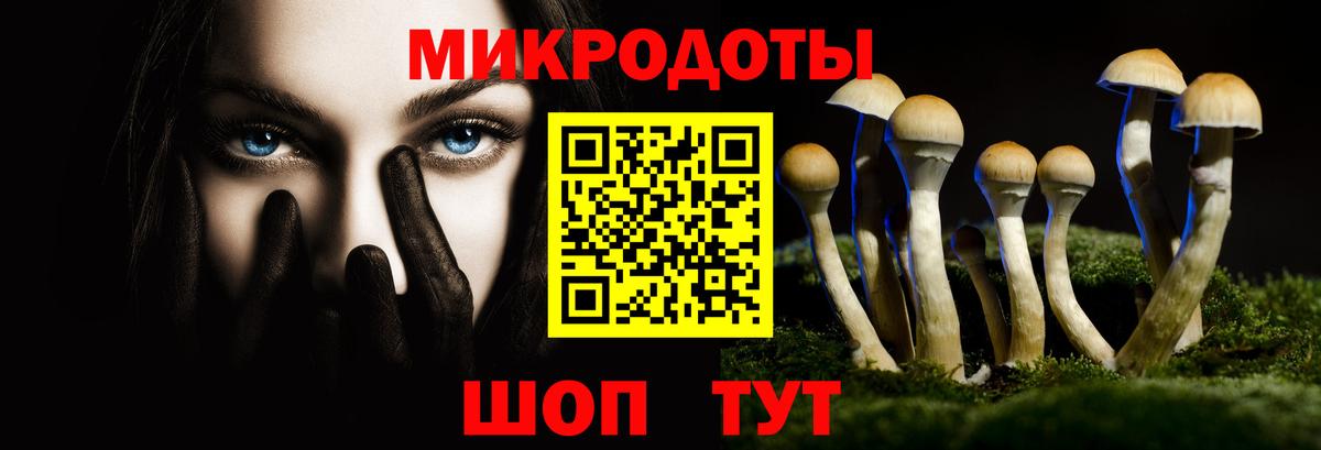Ейск  Галлюциногенные грибы MAGIC MUSHROOMS  Вход с VPN 